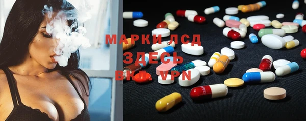 PSILOCYBIN Бородино