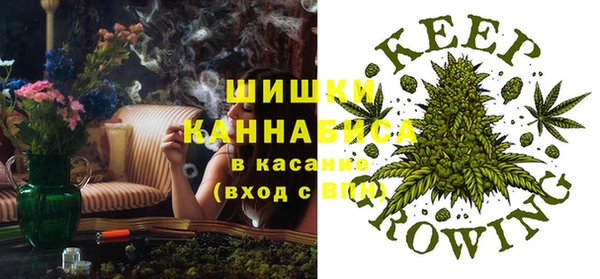 МДПВ Богородицк