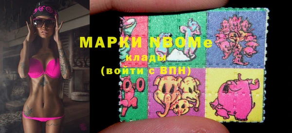 PSILOCYBIN Волосово